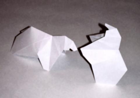 Polar bear