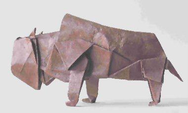 Bison