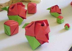 Magic Rose Cube