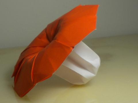 Mushroom