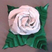 Base for Kawasaki's Rose