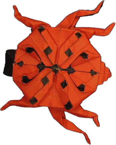 Spotted Ladybug