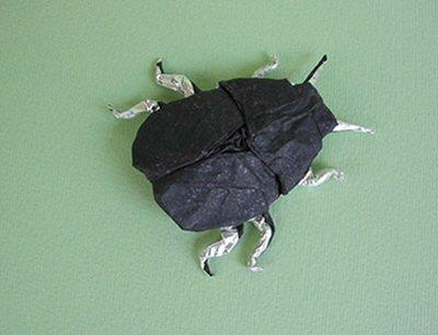 Scarab Beetle