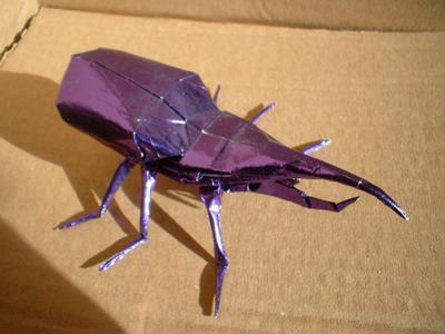 Hercules Beetle