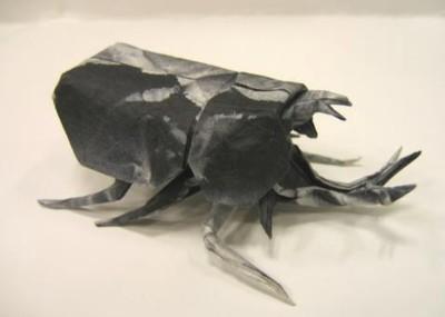 Samurai Helmet Beetle