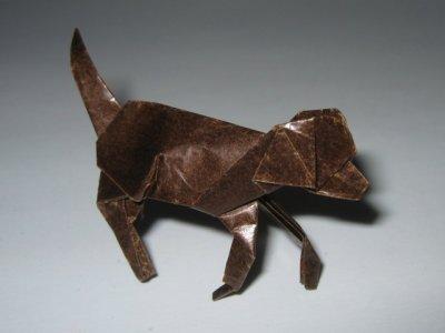 Foxhound