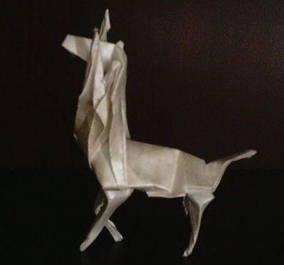 Reindeer