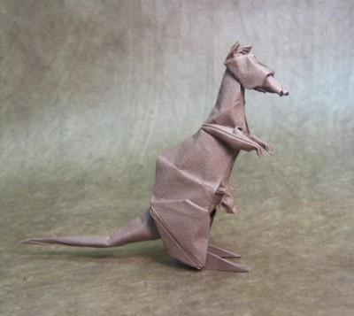 Kangaroo