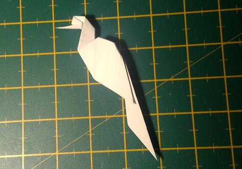 Bird Resting