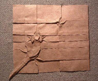 GECKO AND FLY ON A WALL