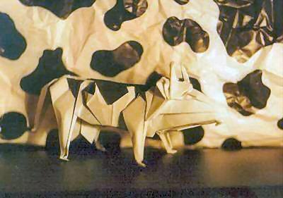 Holstein Cow