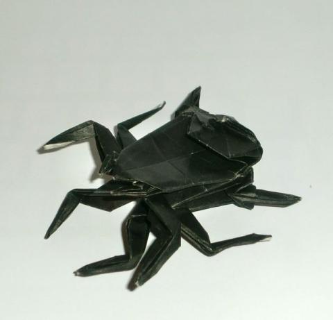 Spider