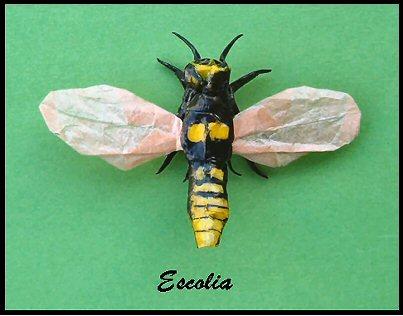 Escolia