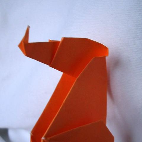 Seahorse
