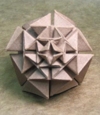 Pine Cone