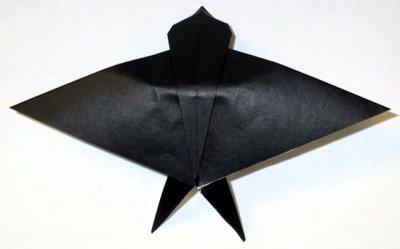 Swallow