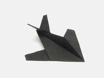 Stealth Fighter