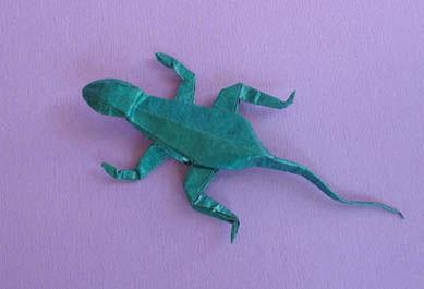 Lizard