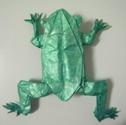 Tree Frog