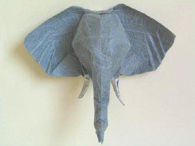 Elephant's Head