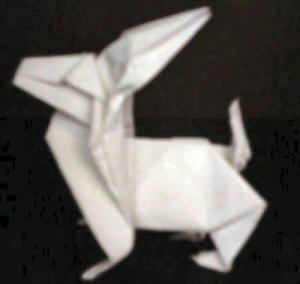 Rabbit