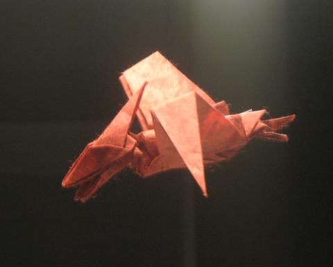 Pteranodon
