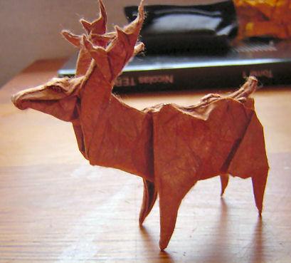 Deer