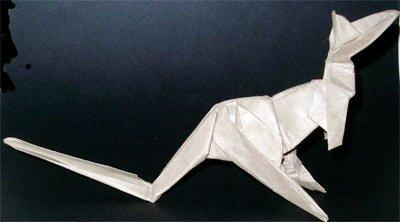 Kangaroo
