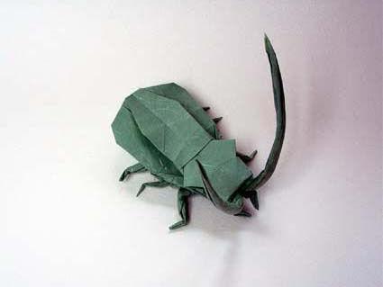 Long Horn Beetle