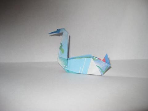 Swan