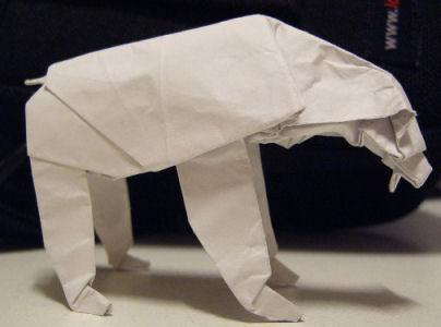 Oso Polar