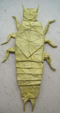 Tijereta giagante Australiana