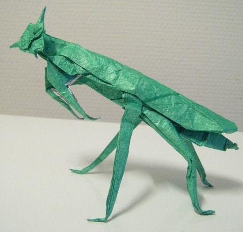 Mantis religiosa