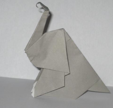 Elephant