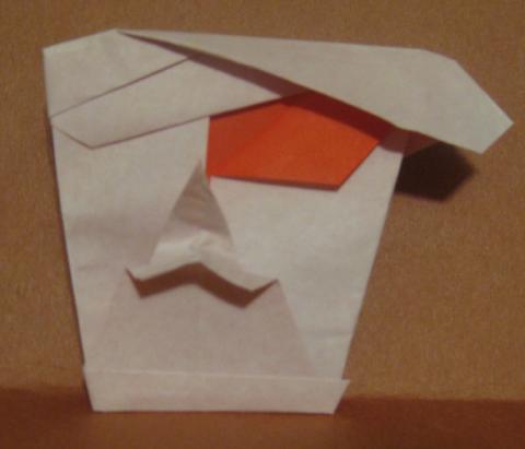 Pirate Mask