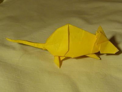 Rata