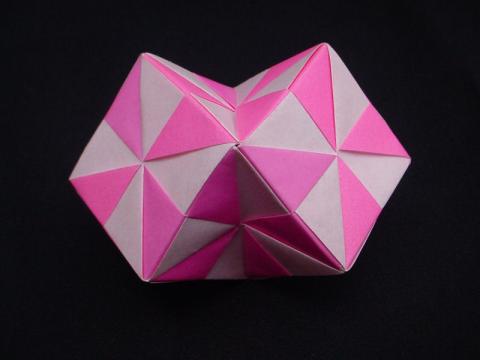 Bird Cube 6 unit