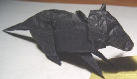 Mouse