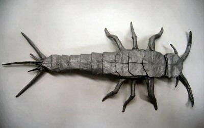 Silverfish