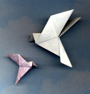 Peace dove