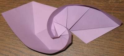 Spiral Shape