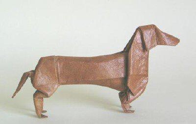 Dachshund
