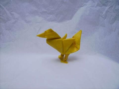 Duck