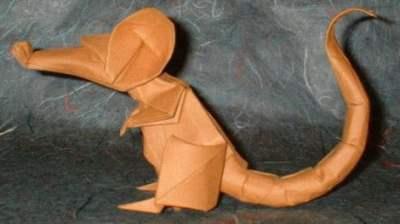 Rat