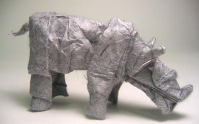 Baby Rhinoceros