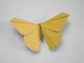 Origamido Butterfly