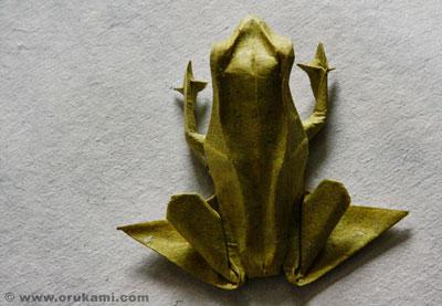 Frog