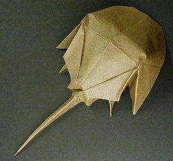 Horseshoe Crab
