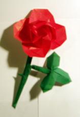 Rose Stem for Rose by Kawasaki