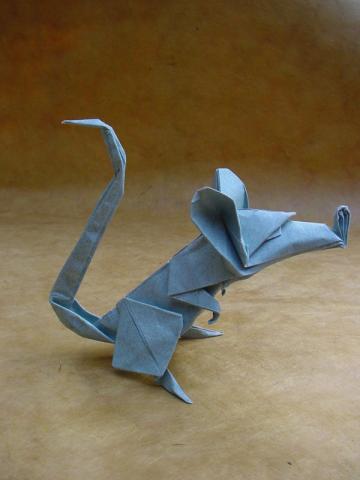 Rat